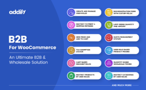 B2B For WooCommerce Featured Image