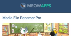 Media File Renamer Pro Meow