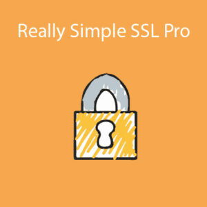 Really Simple Ssl Pro