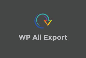 Wp All Export