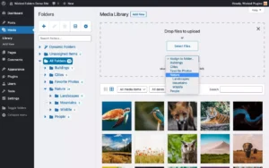 Assign New Media To Folder