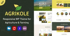 Preview. Large Preview 1 2