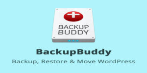 BackupBuddy