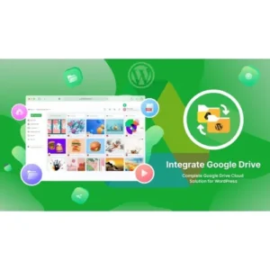 Integrate Google Drive PRO 1