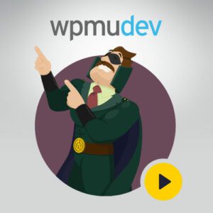 WPMU DEV Hustle 1