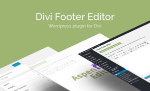 Divi Space Plugin Footereditor