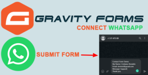 Gravityforms Whatsapp Inline Preview